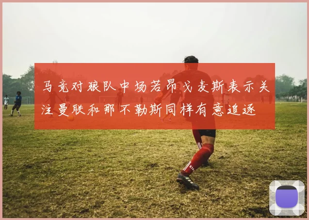 马竞对狼队中场若昂戈麦斯表示关注曼联和那不勒斯同样有意追逐