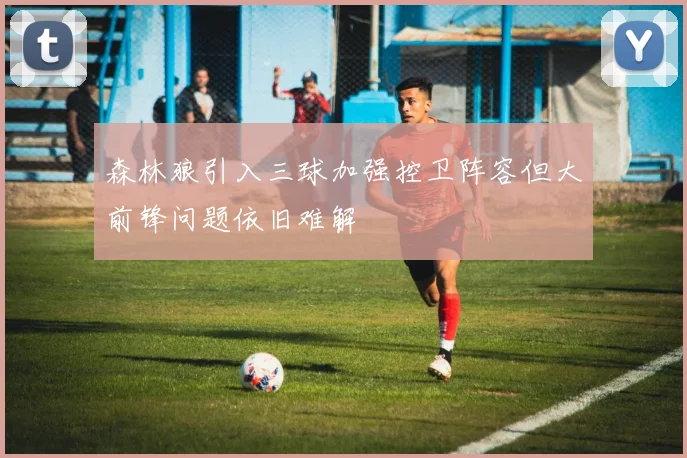 森林狼引入三球加强控卫阵容但大前锋问题依旧难解