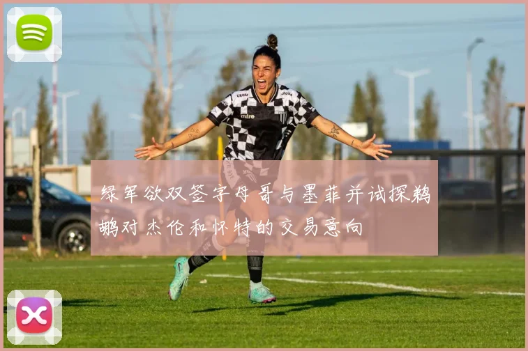 绿军欲双签字母哥与墨菲并试探鹈鹕对杰伦和怀特的交易意向